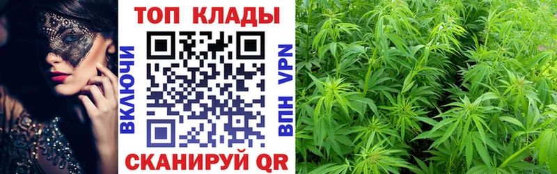 Как найти закладки Ядрин Марихуана ТГК ГАШИШ МЕФ COCAIN СК