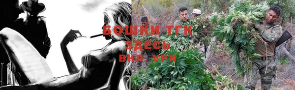 PSILOCYBIN Баксан