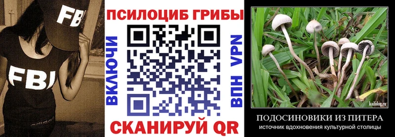 закладка  Ядрин  мега вход  Галлюциногенные грибы GOLDEN TEACHER 